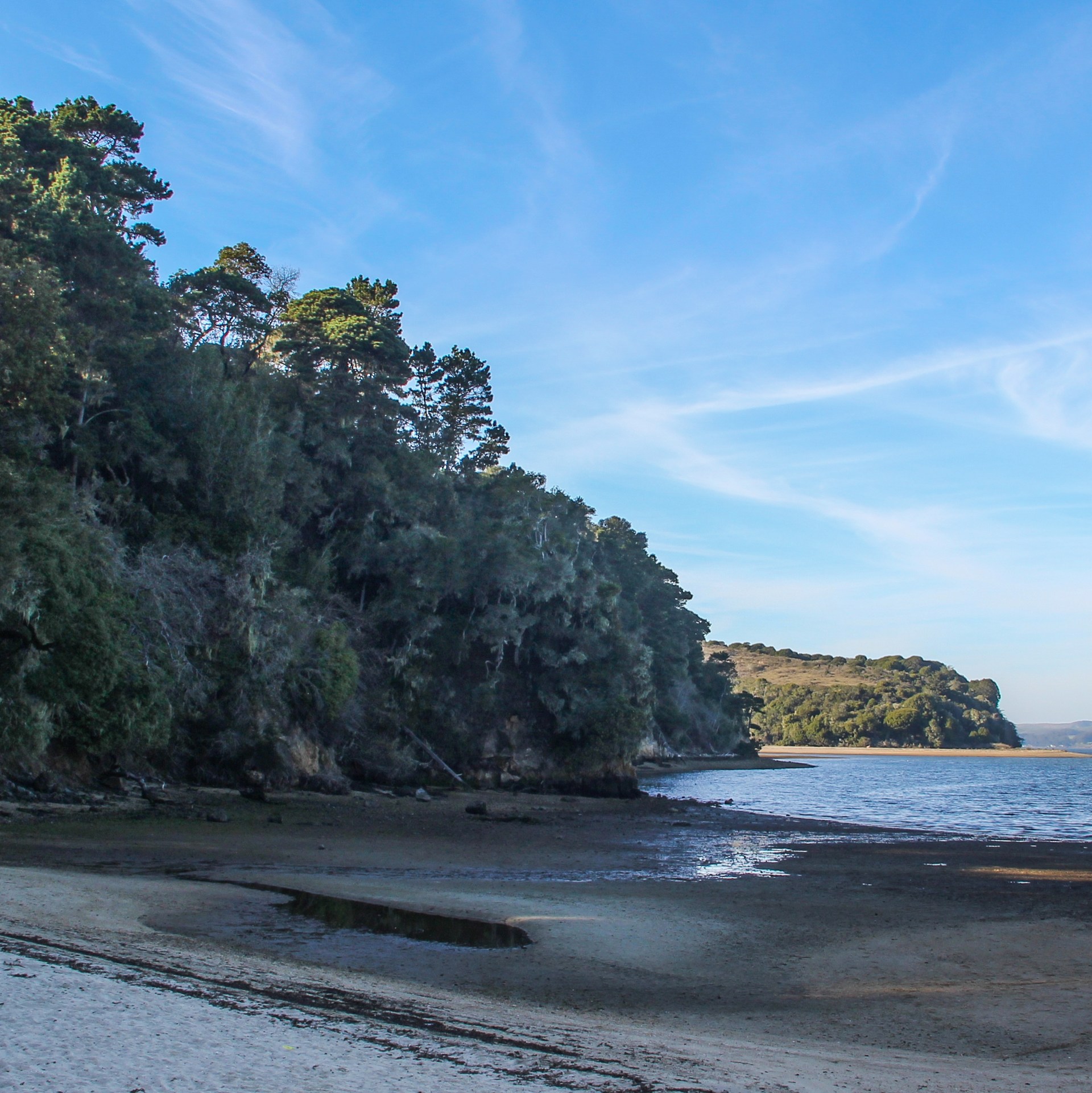 Tomales Bay State Park Outdoor Project