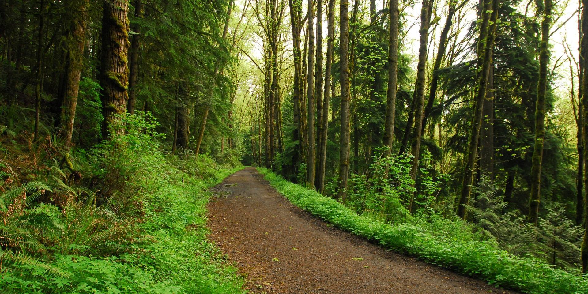 5 FamilyFriendly Trails Near Portland Outdoor Project