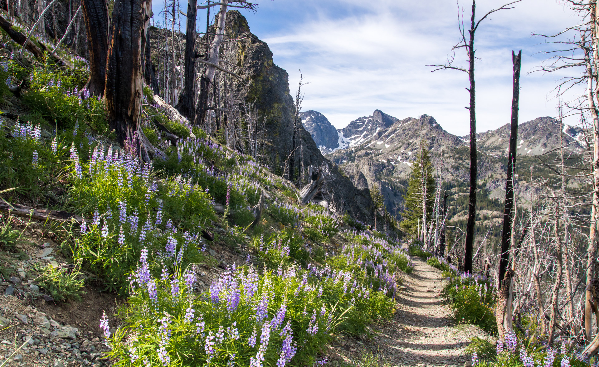Seven Devils Windy Saddle to Sheep Lake Outdoor Project