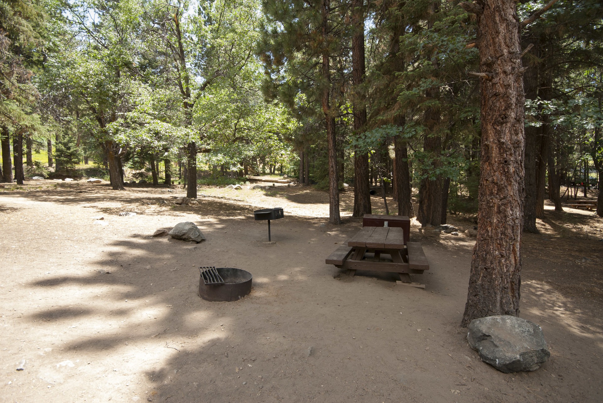 Pineknot Campground Outdoor Project