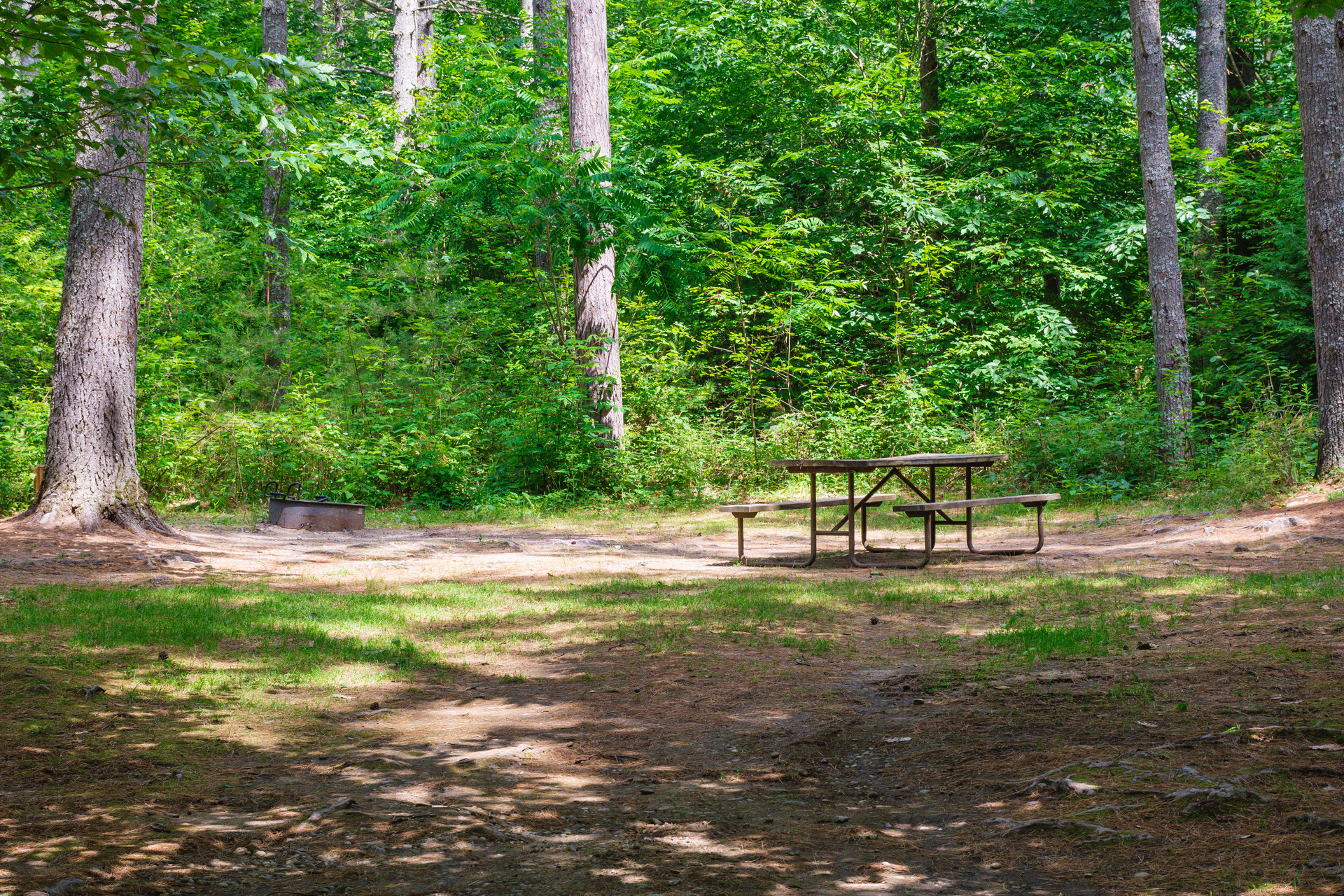 Quechee State Park Campground Outdoor Project