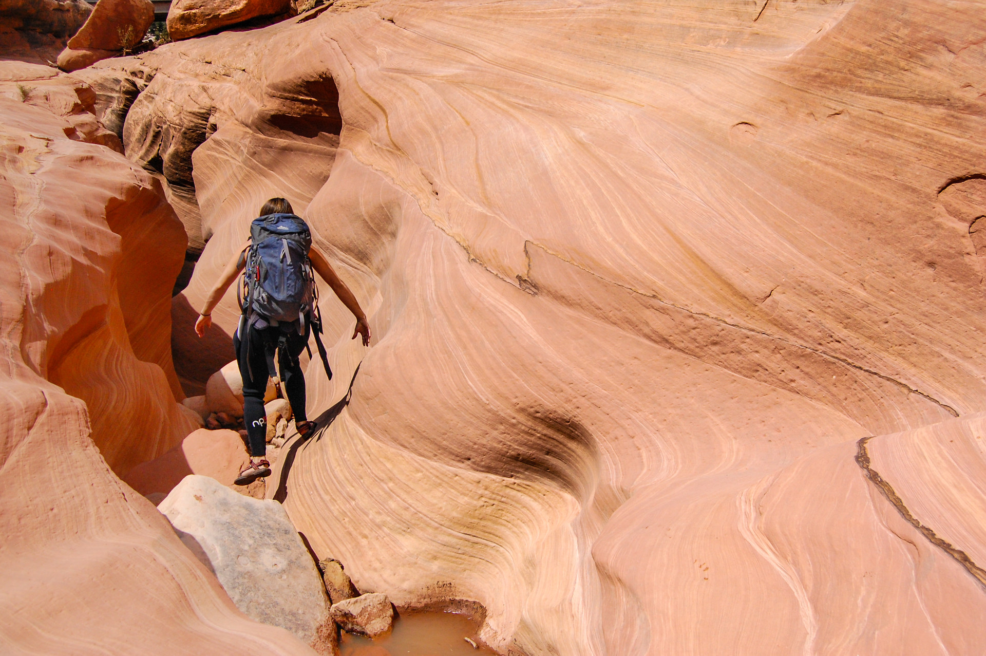 Fry Canyon Outdoor Project