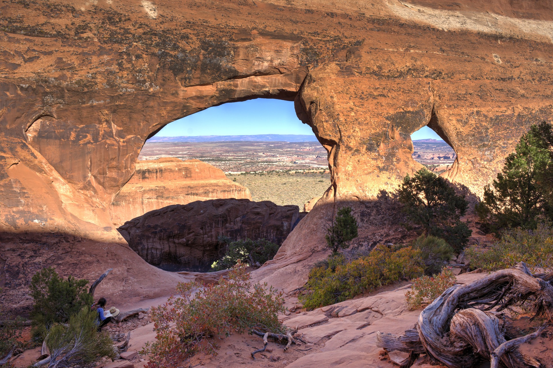 Partition Arch Outdoor Project