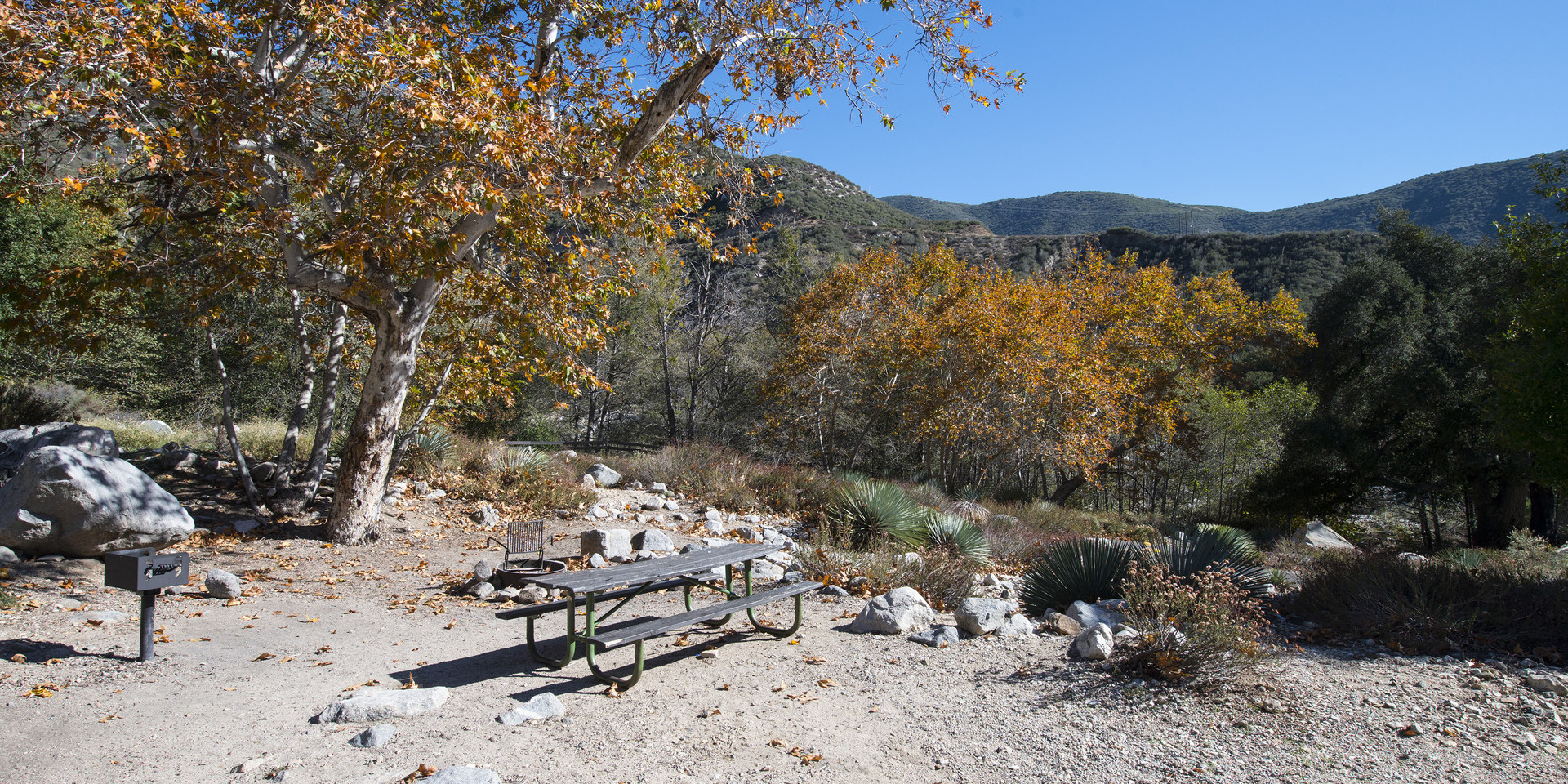 Coldbrook Campground Outdoor Project
