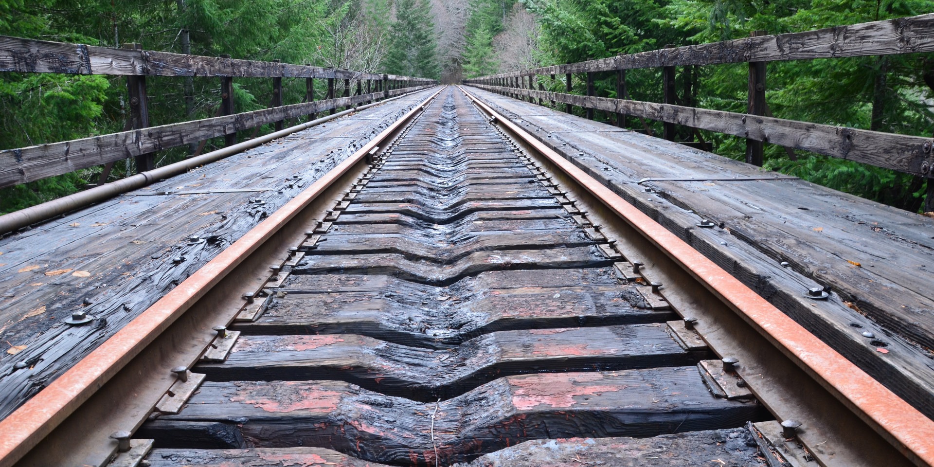 Upper Salmonberry River Trail Outdoor Project