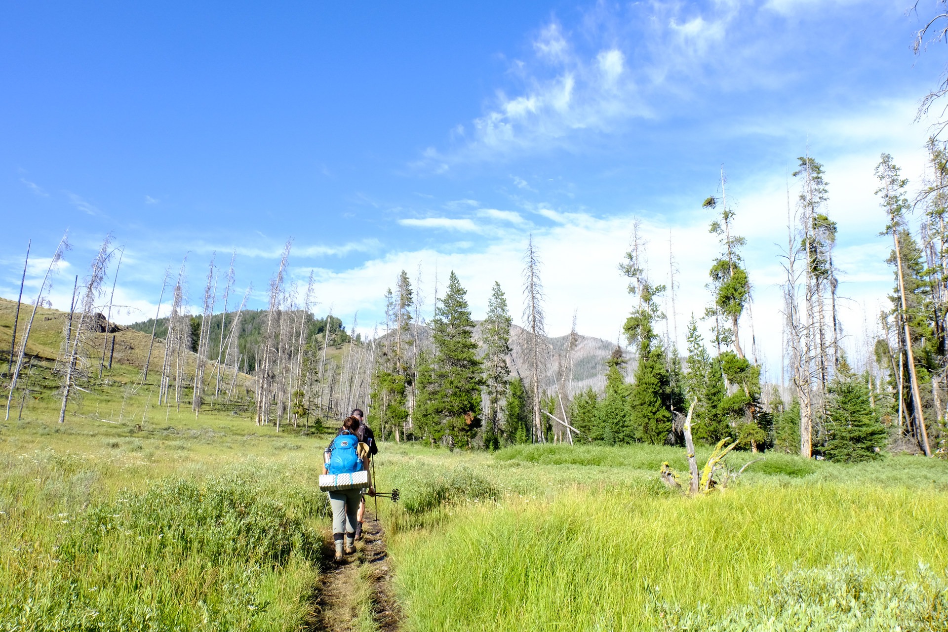 6 Best Backpacking Trips in Yellowstone National Park Outdoor Project