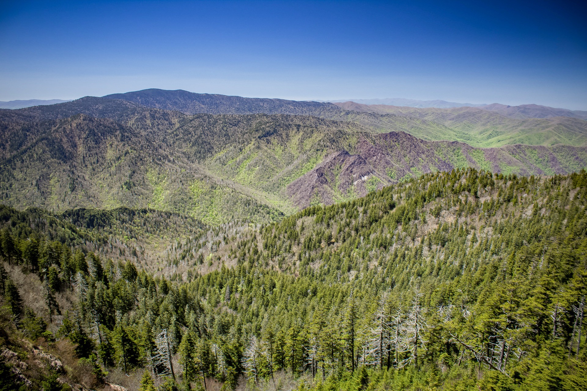 Alum Cave Trail Outdoor Project