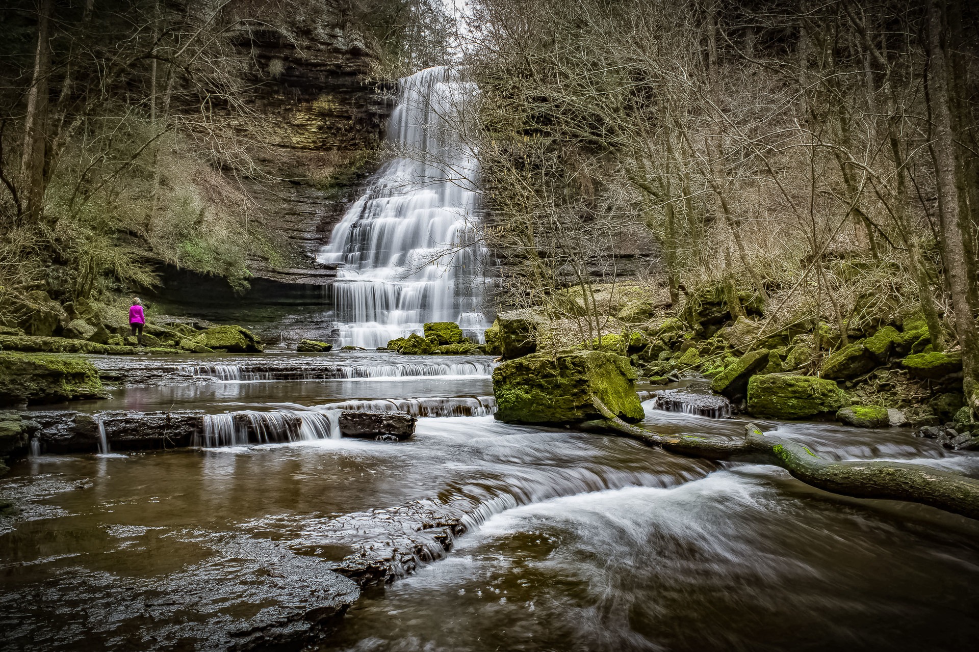 10 MustDo Hikes Near Nashville, Tennessee Outdoor Project