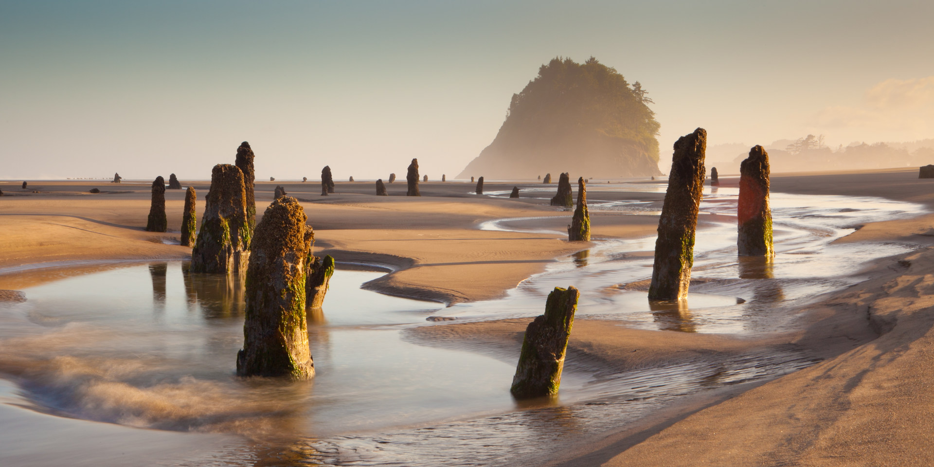 Neskowin Beach State Recreation Site Outdoor Project