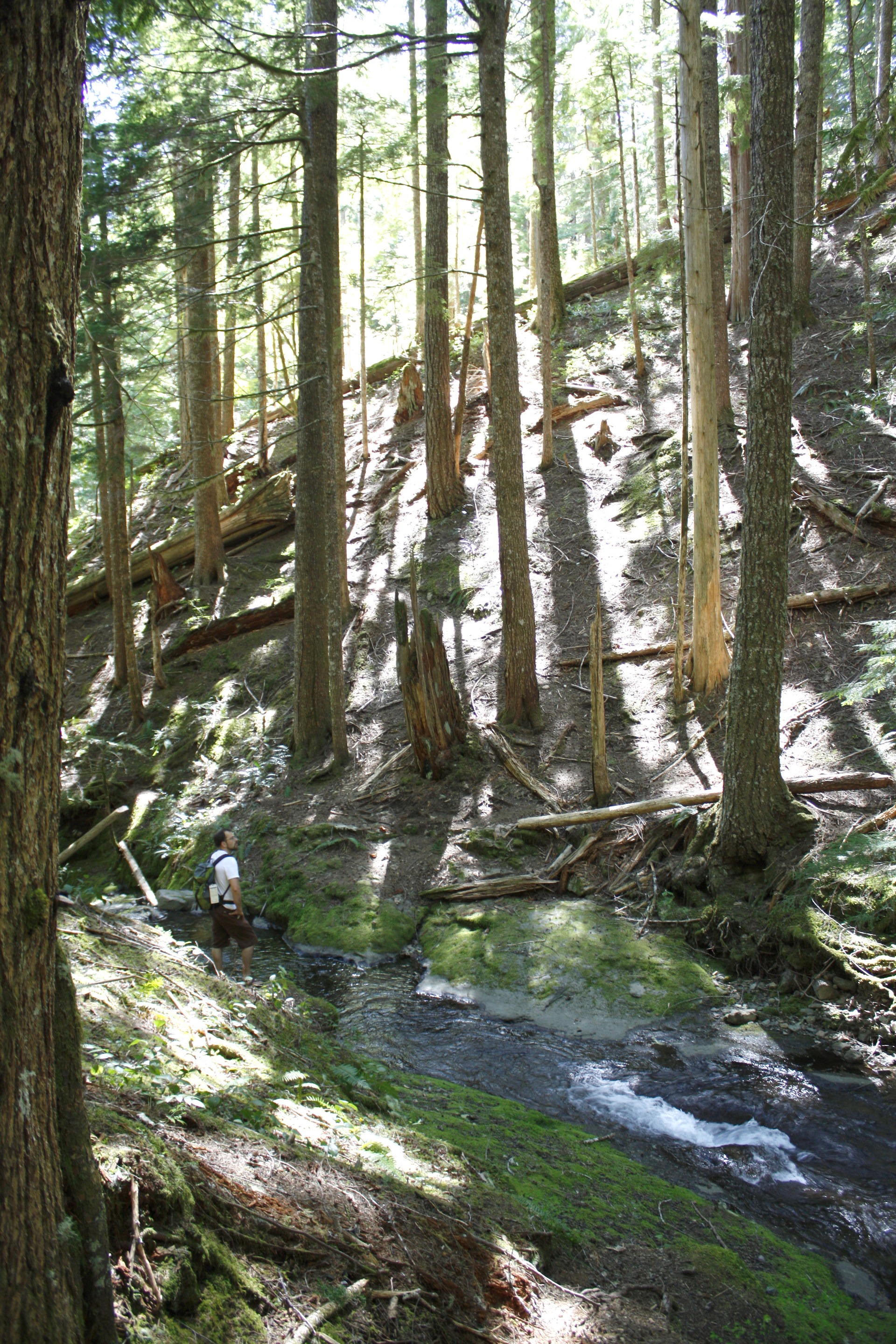 Trapper Creek Outdoor Project