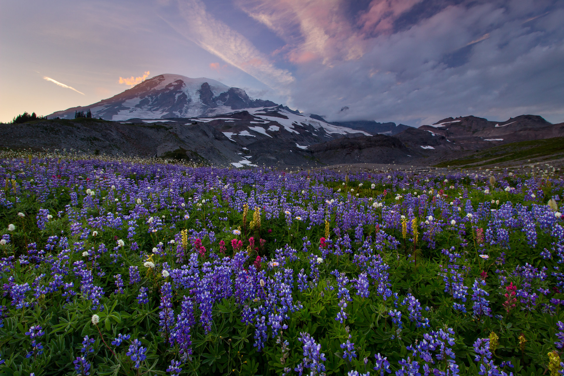 Mount Rainier National Park Outdoor Project